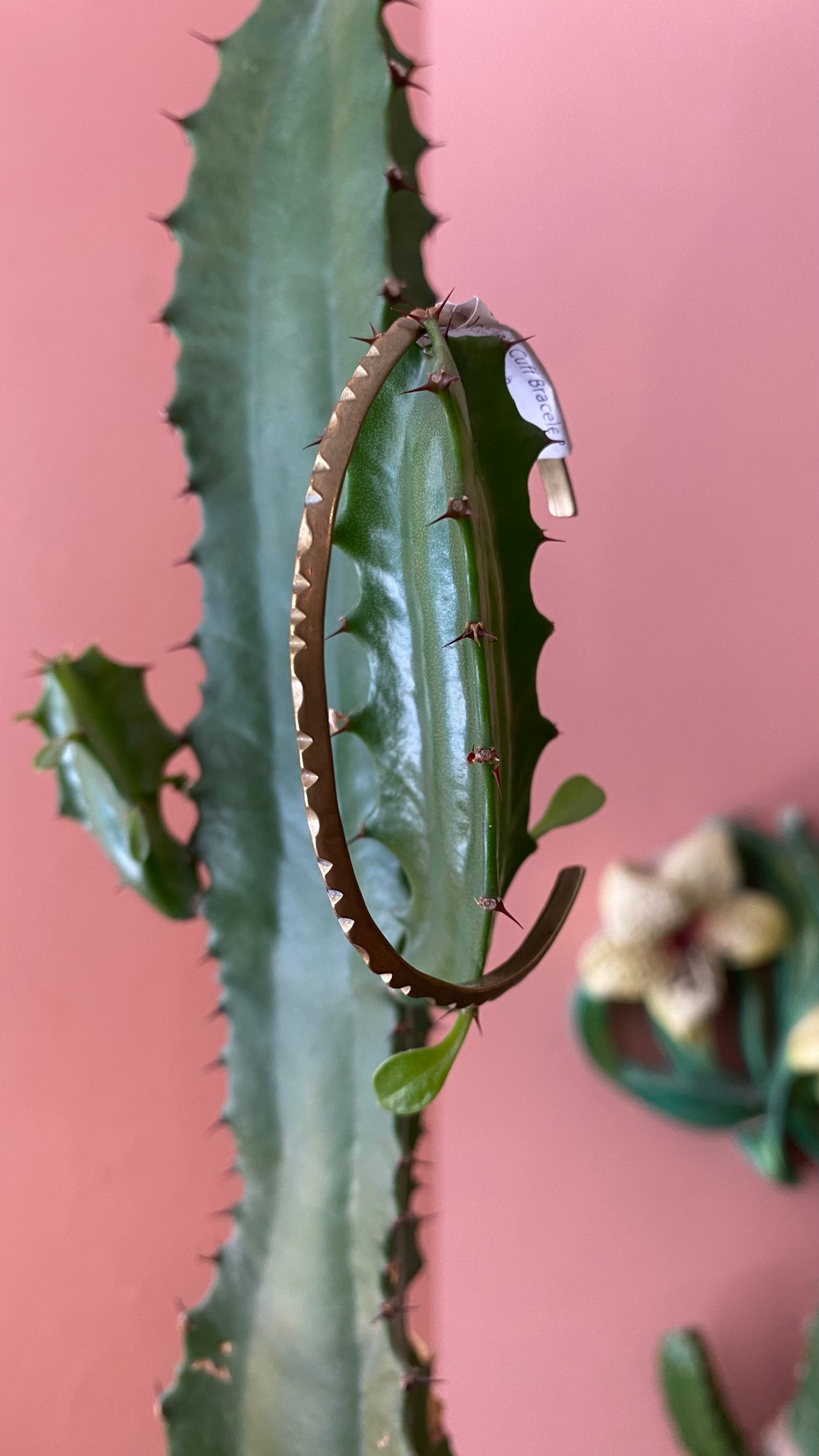 Notched Cuff Bracelet